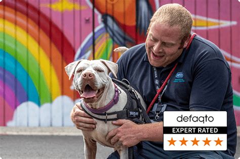 defaqto pet insurance